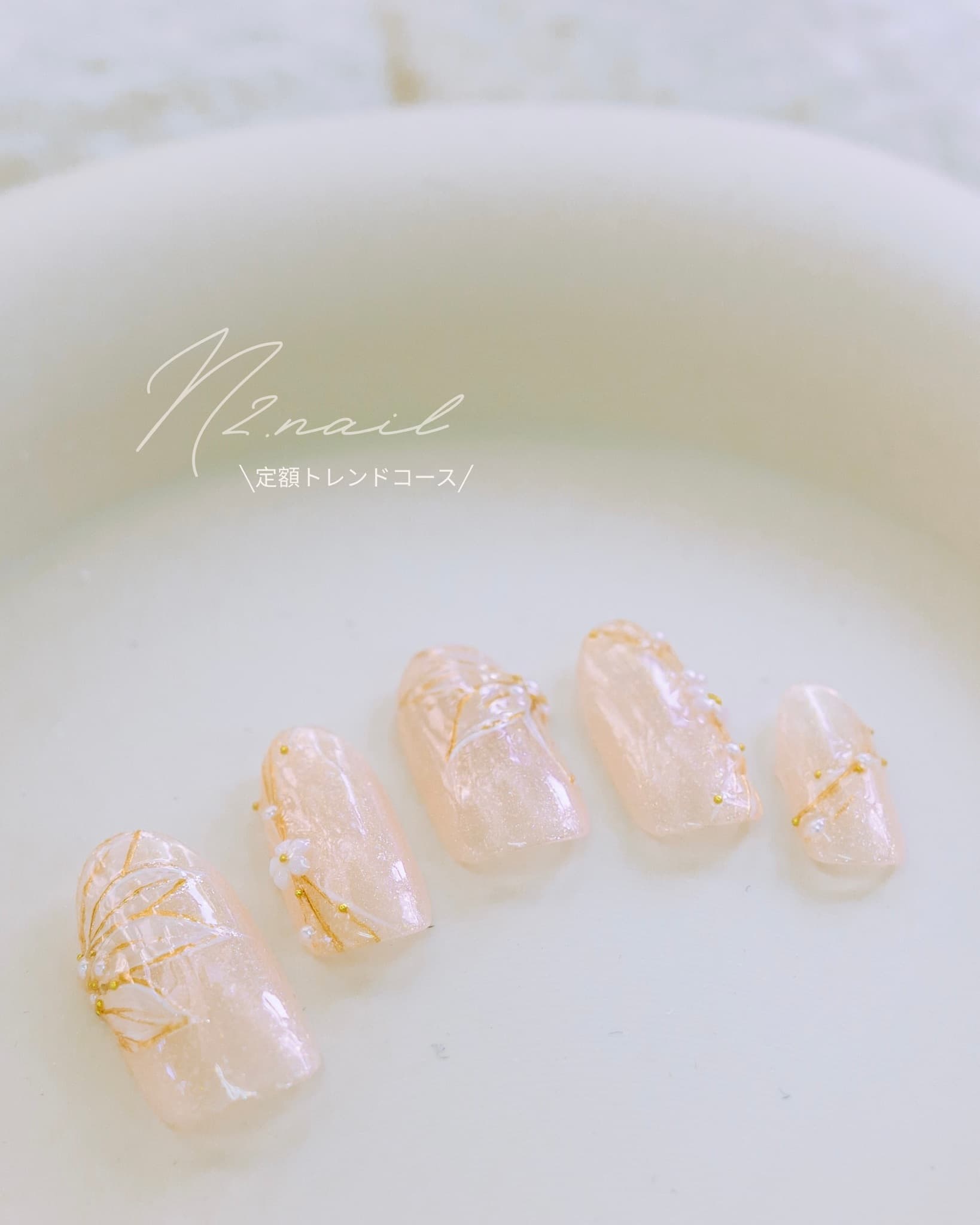 N2 nail STANDARD design 5